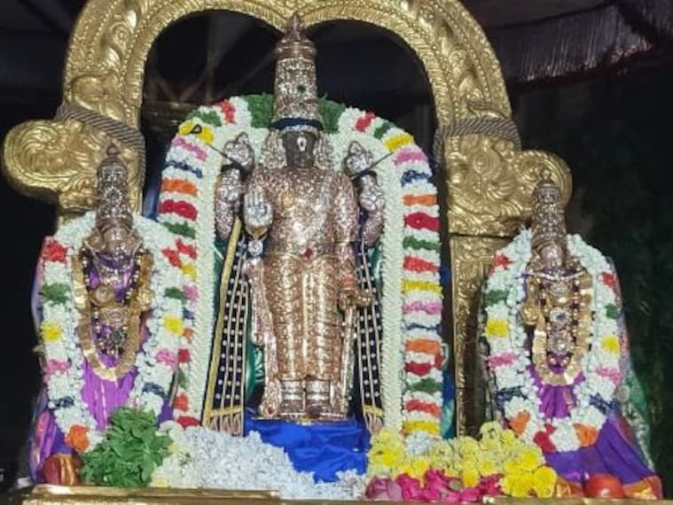 Parthasarathyswamy Temple_5